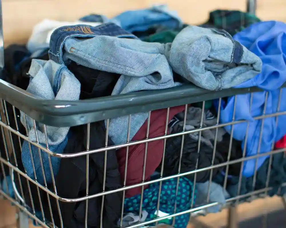 image_landscape_0015